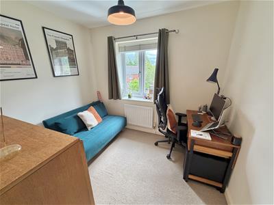 Picture 14